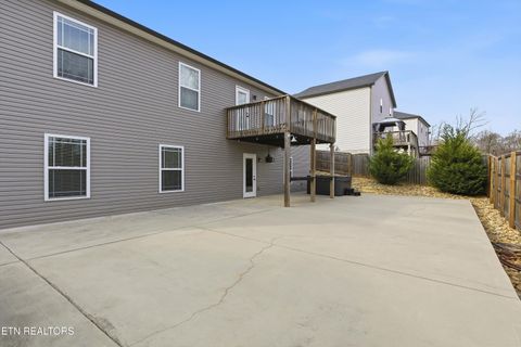 Tiny photo for 7928 Poplar Grove Lane, Powell, TN 37849 (MLS # 1325960)