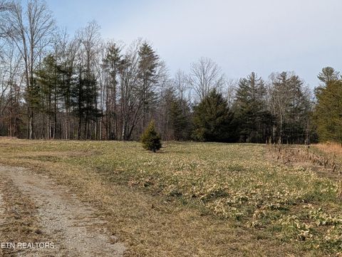 Tiny photo for 8405 Wassom Memorial Hwy, Grandview, TN 37337 (MLS # 1329125)