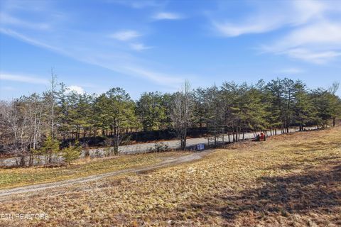 Tiny photo for 8405 Wassom Memorial Hwy, Grandview, TN 37337 (MLS # 1329125)