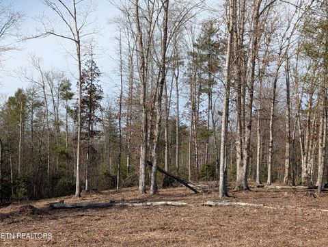 Tiny photo for 8405 Wassom Memorial Hwy, Grandview, TN 37337 (MLS # 1329125)