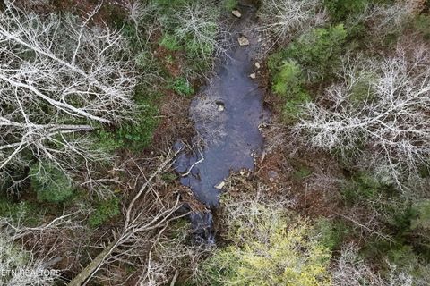 Tiny photo for 8405 Wassom Memorial Hwy, Grandview, TN 37337 (MLS # 1329125)