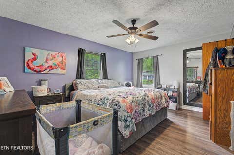 Tiny photo for 524 Pine Mountain Rd, Pigeon Forge, TN 37863 (MLS # 1350168)