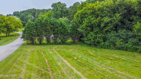 Tiny photo for 315 Marble Bluff Drive, Kingston, TN 37763 (MLS # 1349037)