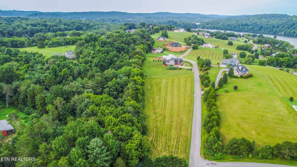 Photo of 315 Marble Bluff Drive, Kingston, TN 37763 (MLS # 1349037)