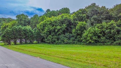 Tiny photo for 315 Marble Bluff Drive, Kingston, TN 37763 (MLS # 1349037)