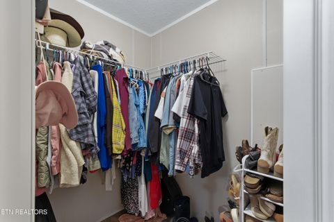 Tiny photo for 915 Howell River Rd, Rutledge, TN 37861 (MLS # 1332475)