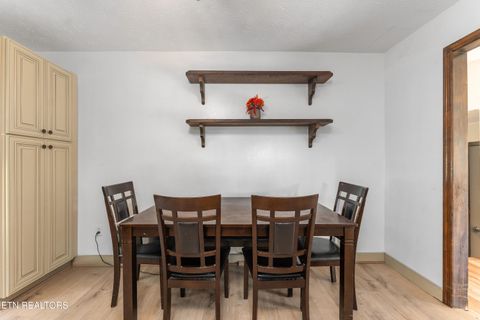 Tiny photo for 664 Oxford Rd, Jefferson City, TN 37760 (MLS # 1317094)