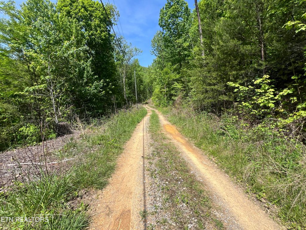 Photo of 81 Yellowwod Drive, Sevierville, TN 37876 (MLS # 1262232)