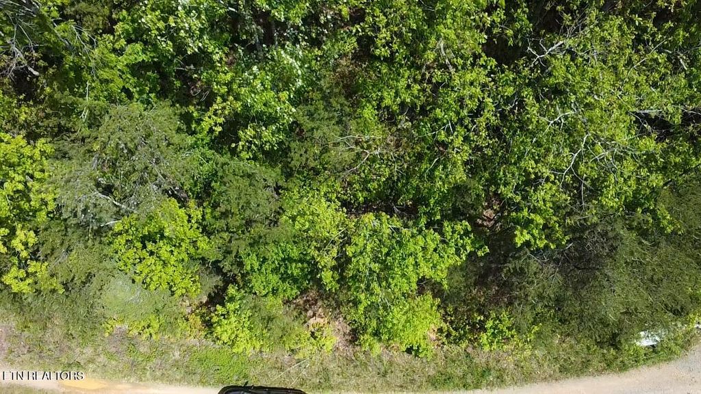 Photo of 81 Yellowwod Drive, Sevierville, TN 37876 (MLS # 1262232)