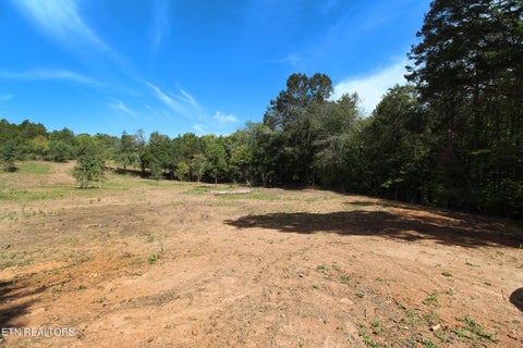 Tiny photo for 0 Cabbage Drive, Knoxville, TN 37938 (MLS # 1357425)