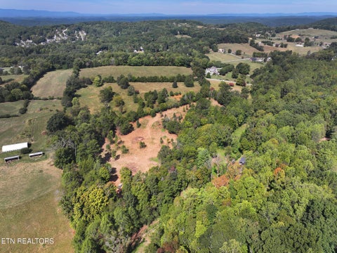 Tiny photo for 0 Cabbage Drive, Knoxville, TN 37938 (MLS # 1357425)