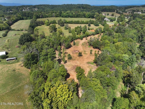 Tiny photo for 0 Cabbage Drive, Knoxville, TN 37938 (MLS # 1357425)