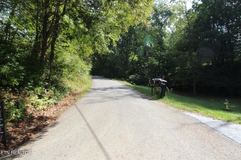 Tiny photo for 0 Cabbage Drive, Knoxville, TN 37938 (MLS # 1357425)
