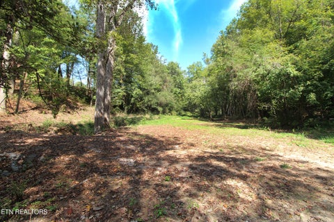 Tiny photo for 0 Cabbage Drive, Knoxville, TN 37938 (MLS # 1357425)