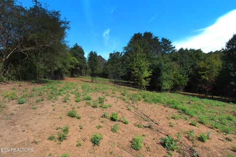 Tiny photo for 0 Cabbage Drive, Knoxville, TN 37938 (MLS # 1357425)