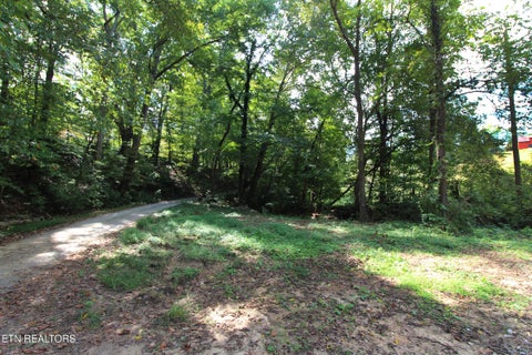 Tiny photo for 0 Cabbage Drive, Knoxville, TN 37938 (MLS # 1357425)