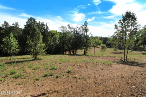 Tiny photo for 0 Cabbage Drive, Knoxville, TN 37938 (MLS # 1357425)