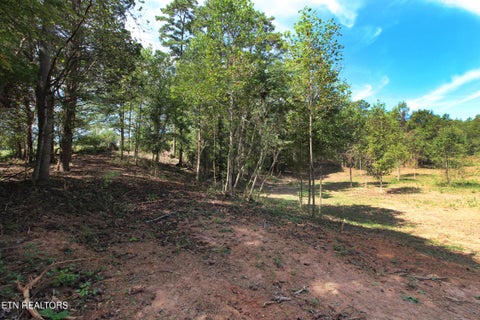 Tiny photo for 0 Cabbage Drive, Knoxville, TN 37938 (MLS # 1357425)