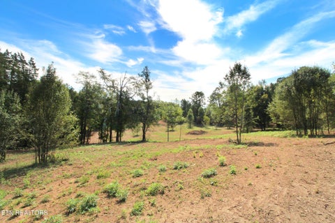 Tiny photo for 0 Cabbage Drive, Knoxville, TN 37938 (MLS # 1357425)