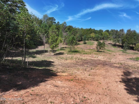 Tiny photo for 0 Cabbage Drive, Knoxville, TN 37938 (MLS # 1357425)