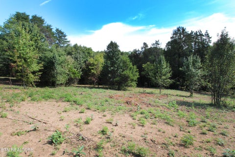 Tiny photo for 0 Cabbage Drive, Knoxville, TN 37938 (MLS # 1357425)