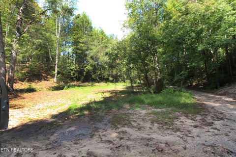 Tiny photo for 0 Cabbage Drive, Knoxville, TN 37938 (MLS # 1357425)