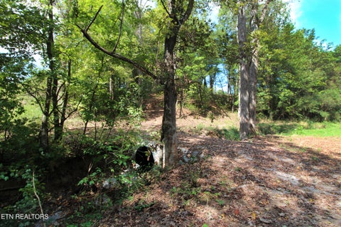Tiny photo for 0 Cabbage Drive, Knoxville, TN 37938 (MLS # 1357425)