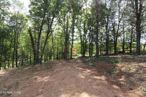 Tiny photo for 0 Cabbage Drive, Knoxville, TN 37938 (MLS # 1357425)
