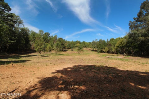 Tiny photo for 0 Cabbage Drive, Knoxville, TN 37938 (MLS # 1357425)