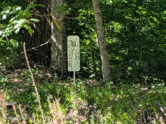 306 HICKORY KNOLL CIR, WHITESBURG, TN 37891 - Image ff52b6cd52078dea7c07b1cefc15da00/3567277718