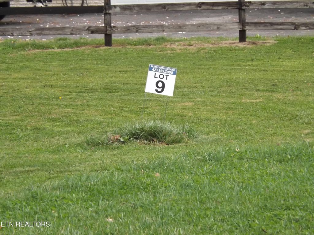 Photo of 132 AUGGIE BELLE Lane, Speedwell, TN 37870 (MLS # 1332272)