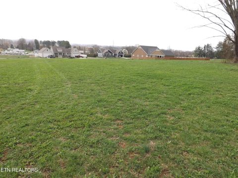 Tiny photo for 132 AUGGIE BELLE Lane, Speedwell, TN 37870 (MLS # 1332272)