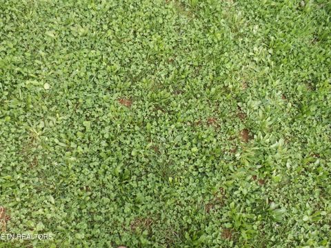 Tiny photo for 132 AUGGIE BELLE Lane, Speedwell, TN 37870 (MLS # 1332272)