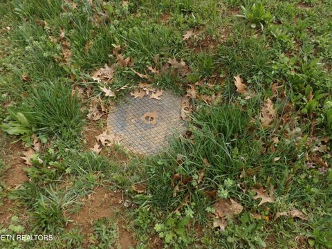 Tiny photo for 132 AUGGIE BELLE Lane, Speedwell, TN 37870 (MLS # 1332272)