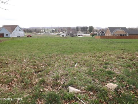Tiny photo for 132 AUGGIE BELLE Lane, Speedwell, TN 37870 (MLS # 1332272)