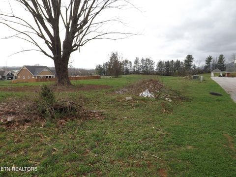 Tiny photo for 132 AUGGIE BELLE Lane, Speedwell, TN 37870 (MLS # 1332272)