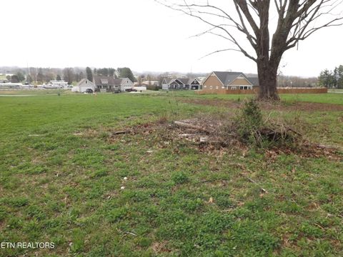 Tiny photo for 132 AUGGIE BELLE Lane, Speedwell, TN 37870 (MLS # 1332272)
