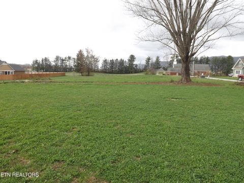 Tiny photo for 132 AUGGIE BELLE Lane, Speedwell, TN 37870 (MLS # 1332272)