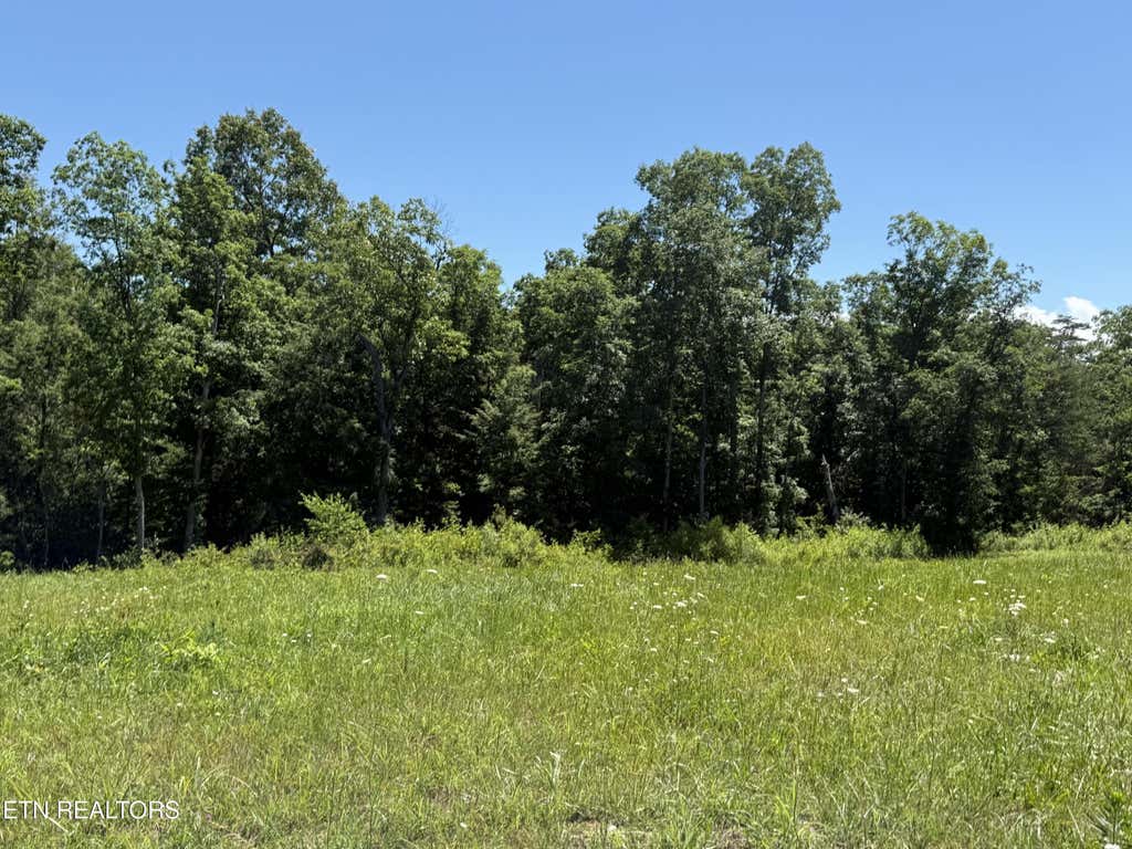 Photo of Riverview Drive - Lot 1 &amp; 2, Crossville, TN 38555 (MLS # 1344965)