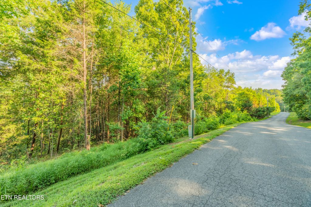 Photo of 6 Shanghai Landing Lane, LaFollette, TN 37766 (MLS # 1310634)