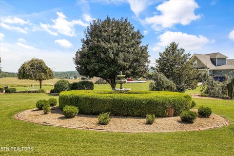 Tiny photo for 607 Cornfield Drive, White Pine, TN 37890 (MLS # 1355965)