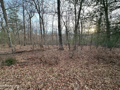 Photo of 3026 Oklahoma Drive, Crossville, TN 38572 (MLS # 1329266)