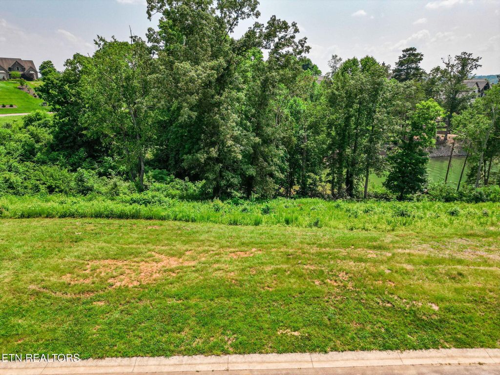 Photo of 377 Beacon Court, Lenoir City, TN 37772 (MLS # 1175383)