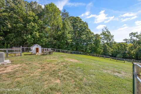 Tiny photo for 2809 Williams Bend Rd, Knoxville, TN 37932 (MLS # 1315930)