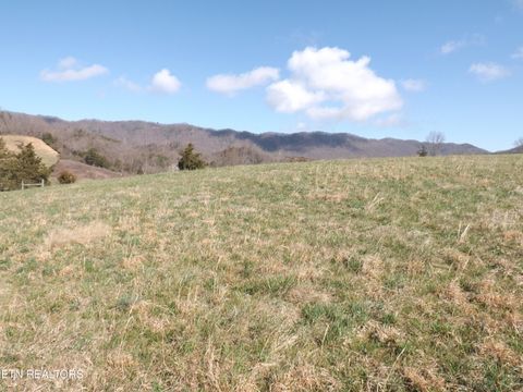 Tiny photo for 3233 Canary Lane, Speedwell, TN 37870 (MLS # 1331969)