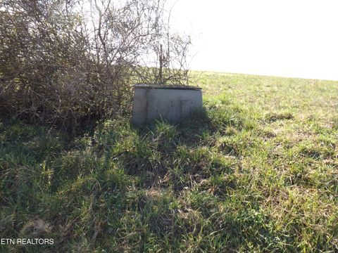 Tiny photo for 3233 Canary Lane, Speedwell, TN 37870 (MLS # 1331969)