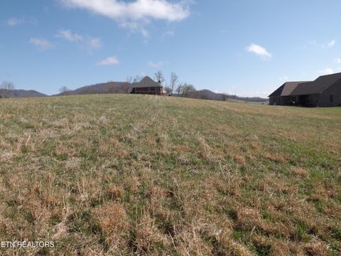 Tiny photo for 3233 Canary Lane, Speedwell, TN 37870 (MLS # 1331969)