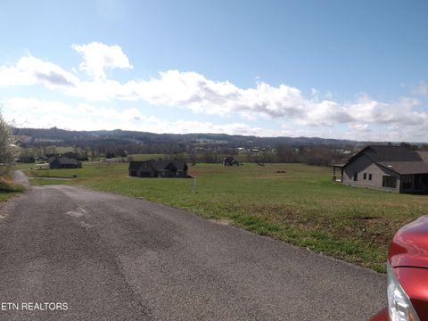 Tiny photo for 3233 Canary Lane, Speedwell, TN 37870 (MLS # 1331969)