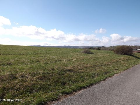 Tiny photo for 3233 Canary Lane, Speedwell, TN 37870 (MLS # 1331969)