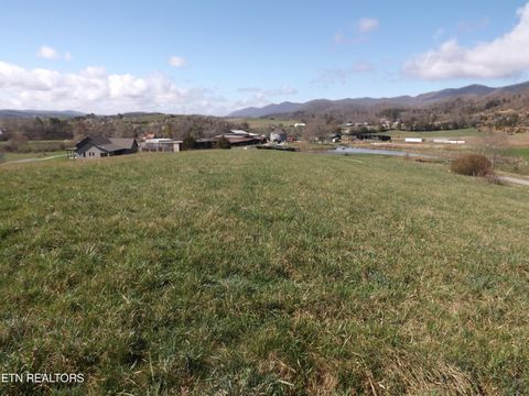 Tiny photo for 3233 Canary Lane, Speedwell, TN 37870 (MLS # 1331969)